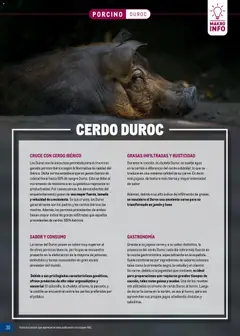 Vista previa Makro - Expertos en carnes Canarias válido desde el 09.03.2026 | Página: 30