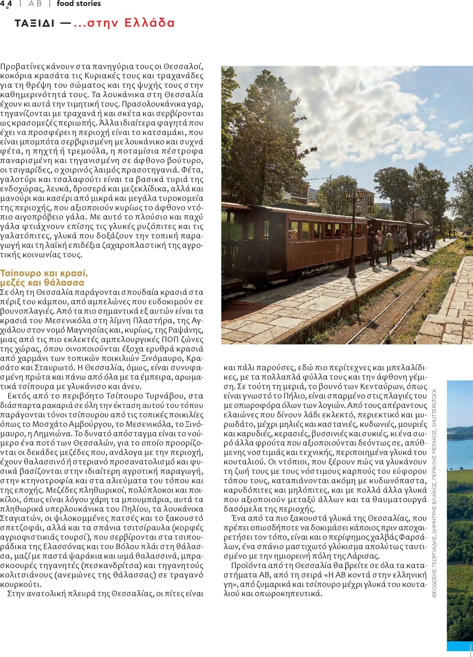  | Σελίδα: 46 | Προϊόντα: Ζυμαρικά, Χαλβάς φαρσάλων, Γλυκάνισο, Τσίπουρο