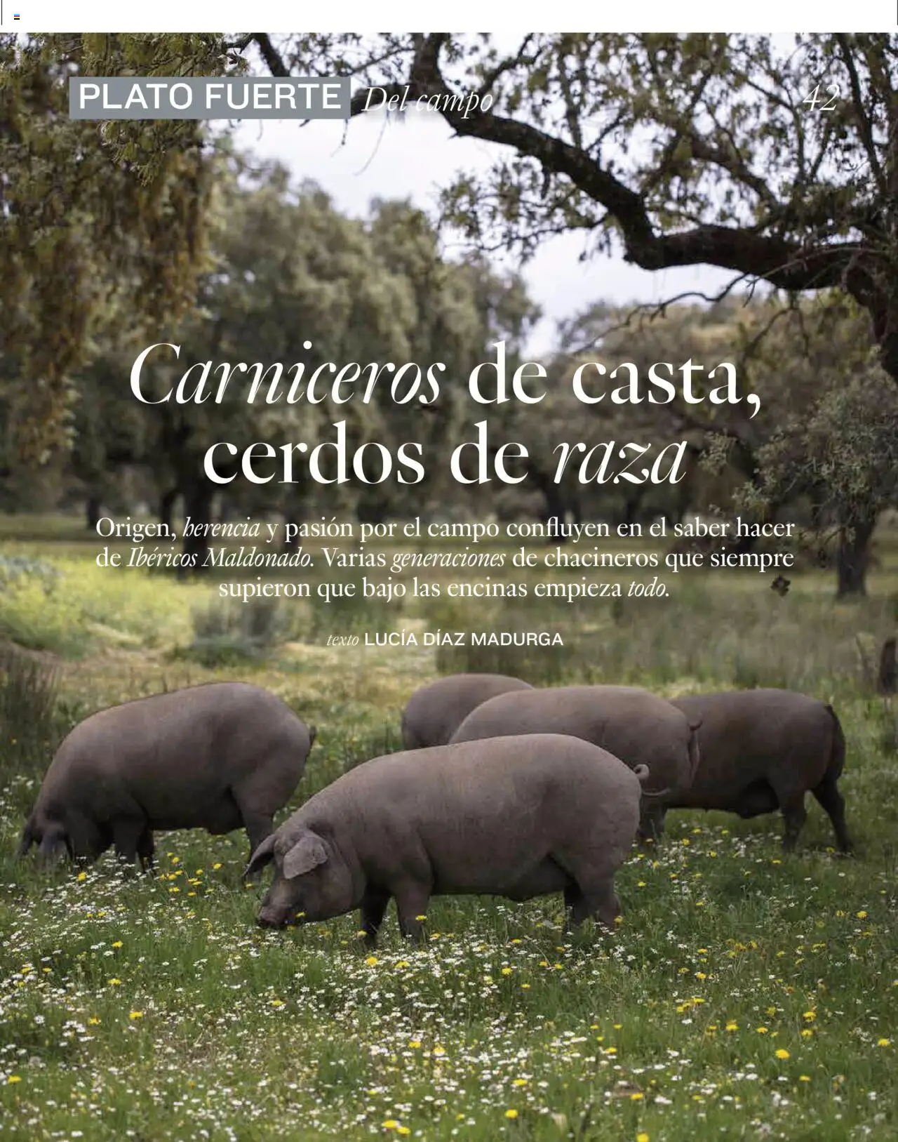 El Corte Inglés ofertas │ válido desde el 01.04.2025 | Página: 42