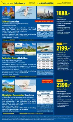 Lidl Flugblatt ab 16.10.2025 gültig | Seite: 31 | Produkte: Uhr