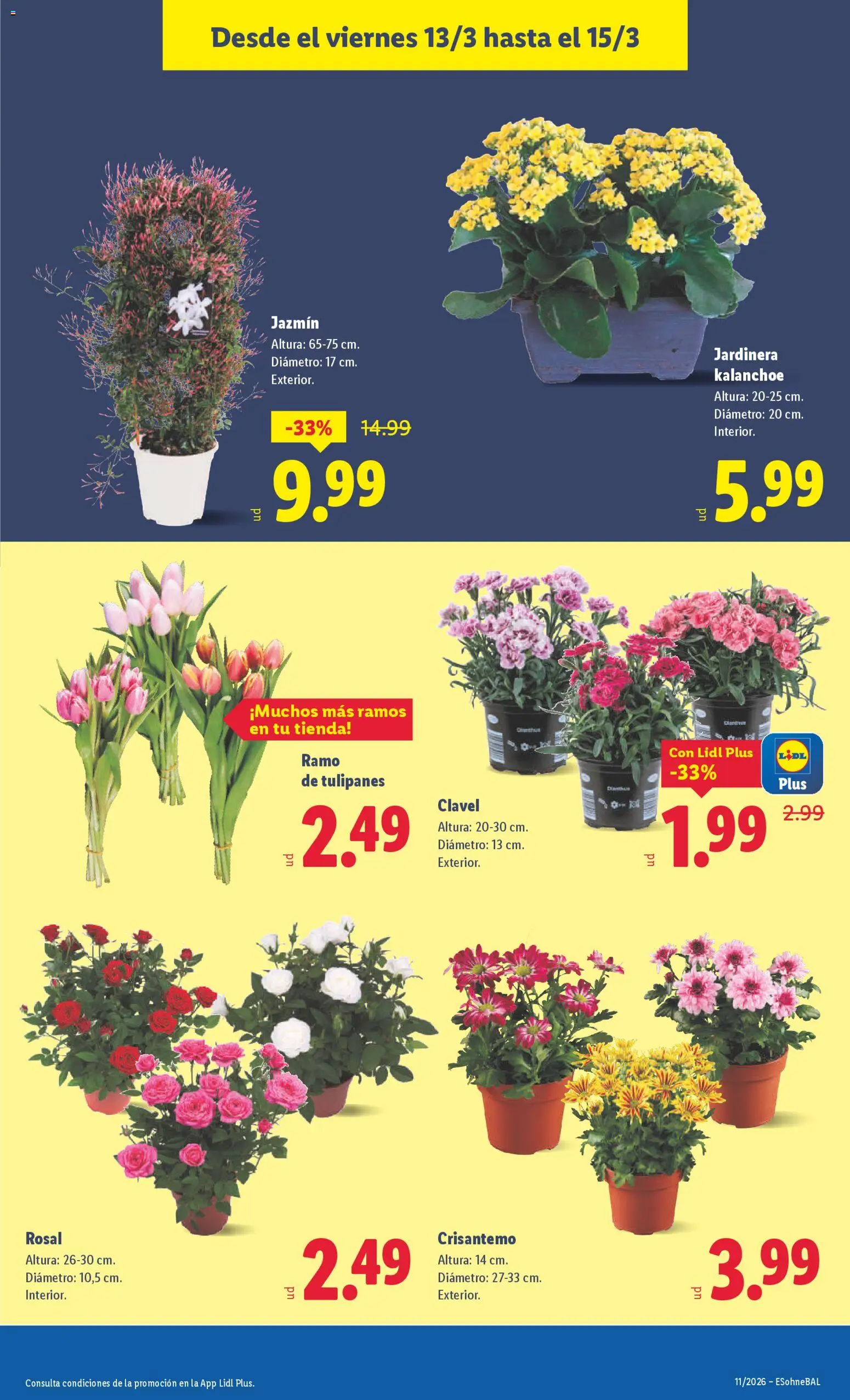 Lidl folleto │ válido desde el 09.03.2026 | Página: 51 | Productos: Jardinera