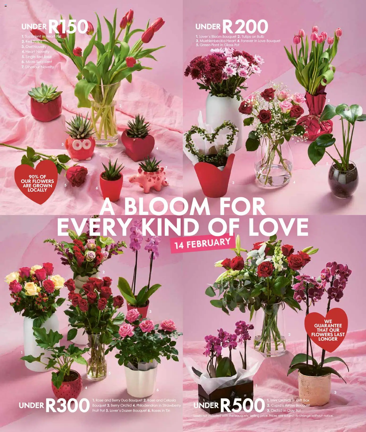 New Woolworths catalogue – valid from 09.02.2026 | Page: 3