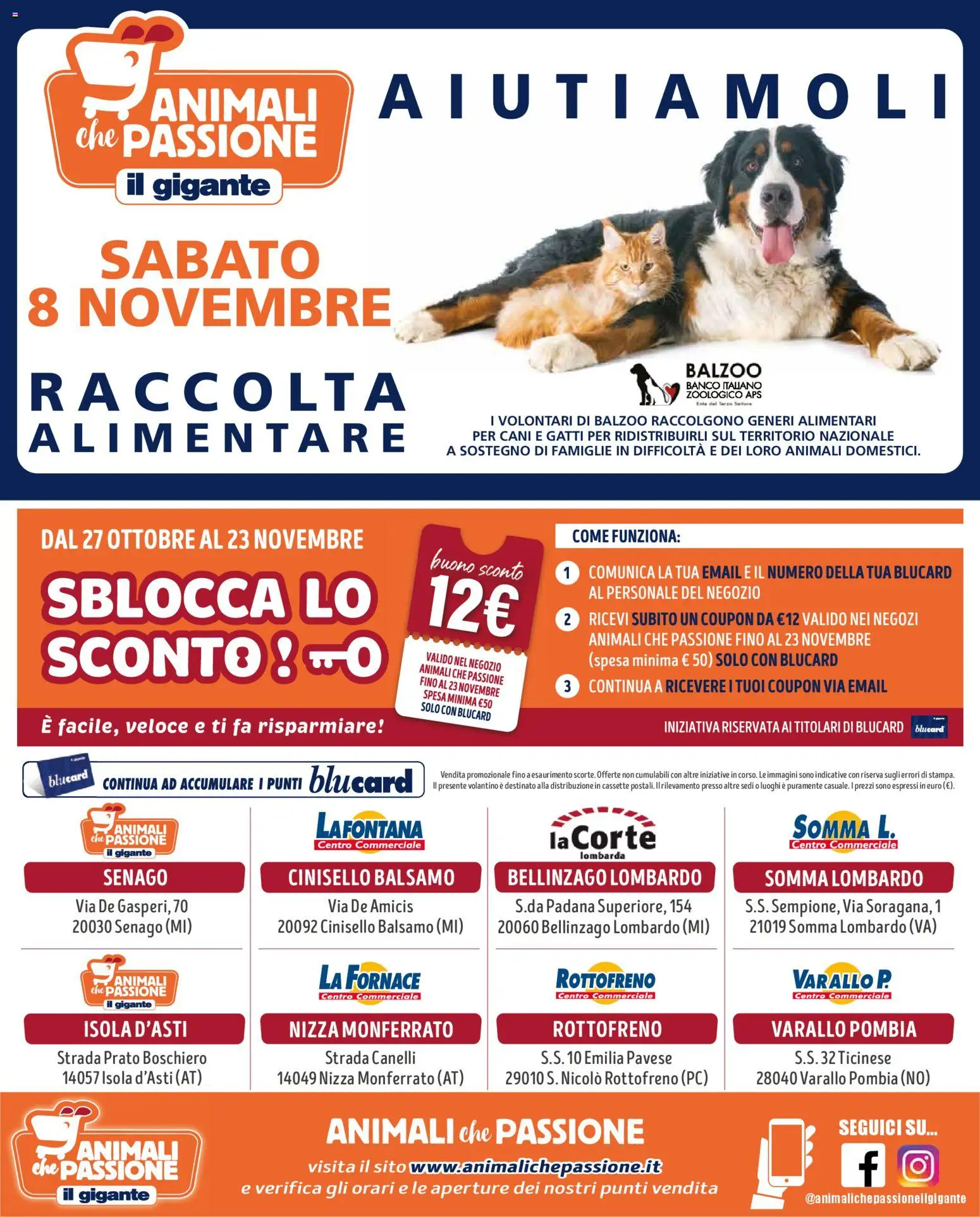 Volantino Il Gigante del 27.10.2025 | Pagina: 8 | Prodotti: Balsamo, PC