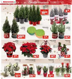 Katalog Interspar - Pregled kataloga iz trgovine Interspar, vrijedi od 03.12.2025 | Stranica: 35