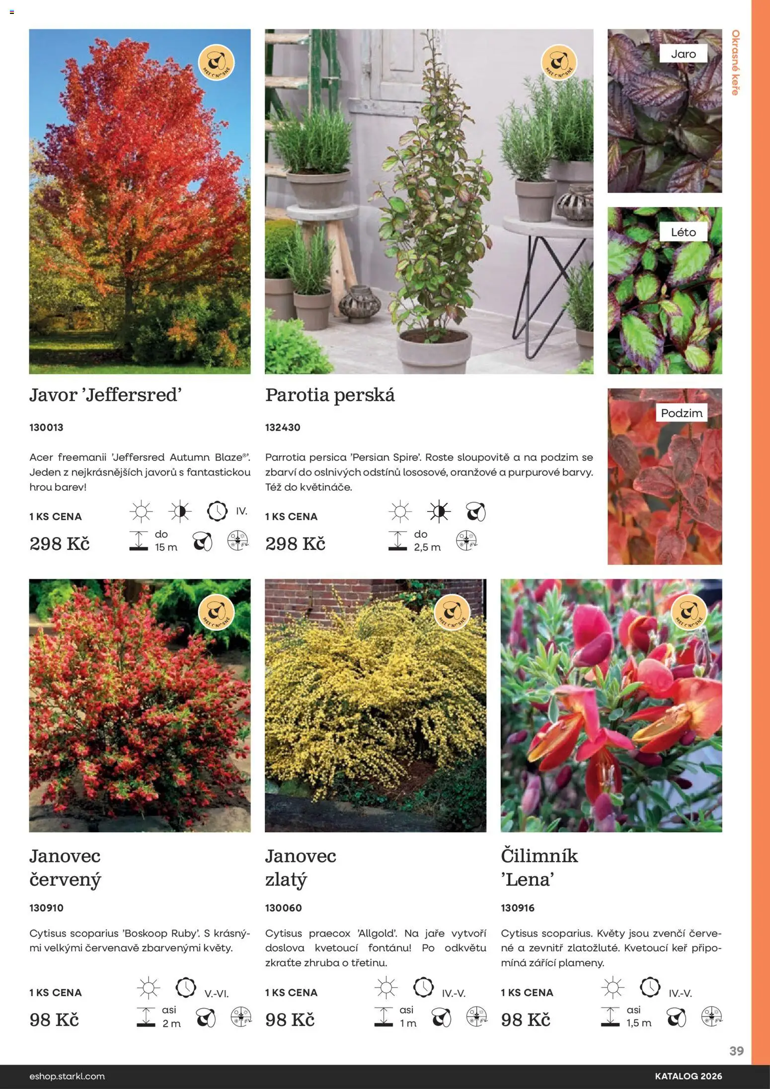 Starkl katalog od 25.02.2026 | Strana: 39