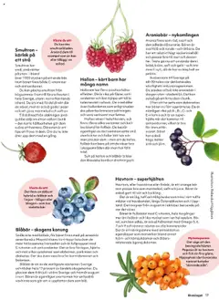 Hemköp reklamblad aktuell från 01.09.2025 | Sida: 17 | Produkter: Jord, Nötter, Hallon, Blåbär