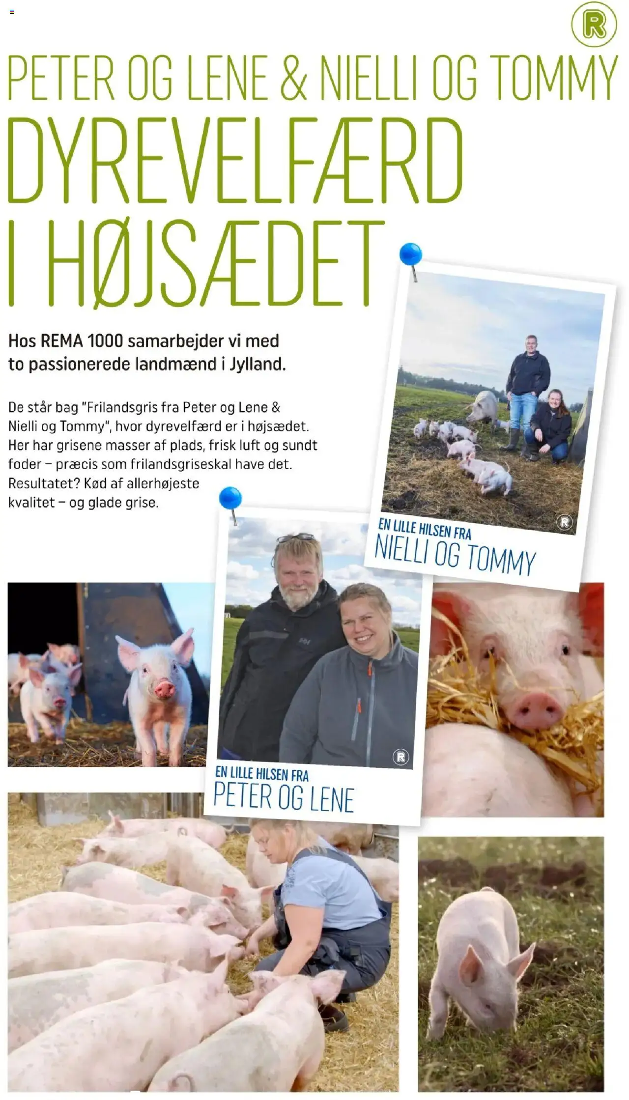 Rema 1000 Tilbudsavis gyldig fra 24.06.2025 | Side: 13 | Produkter: Søm