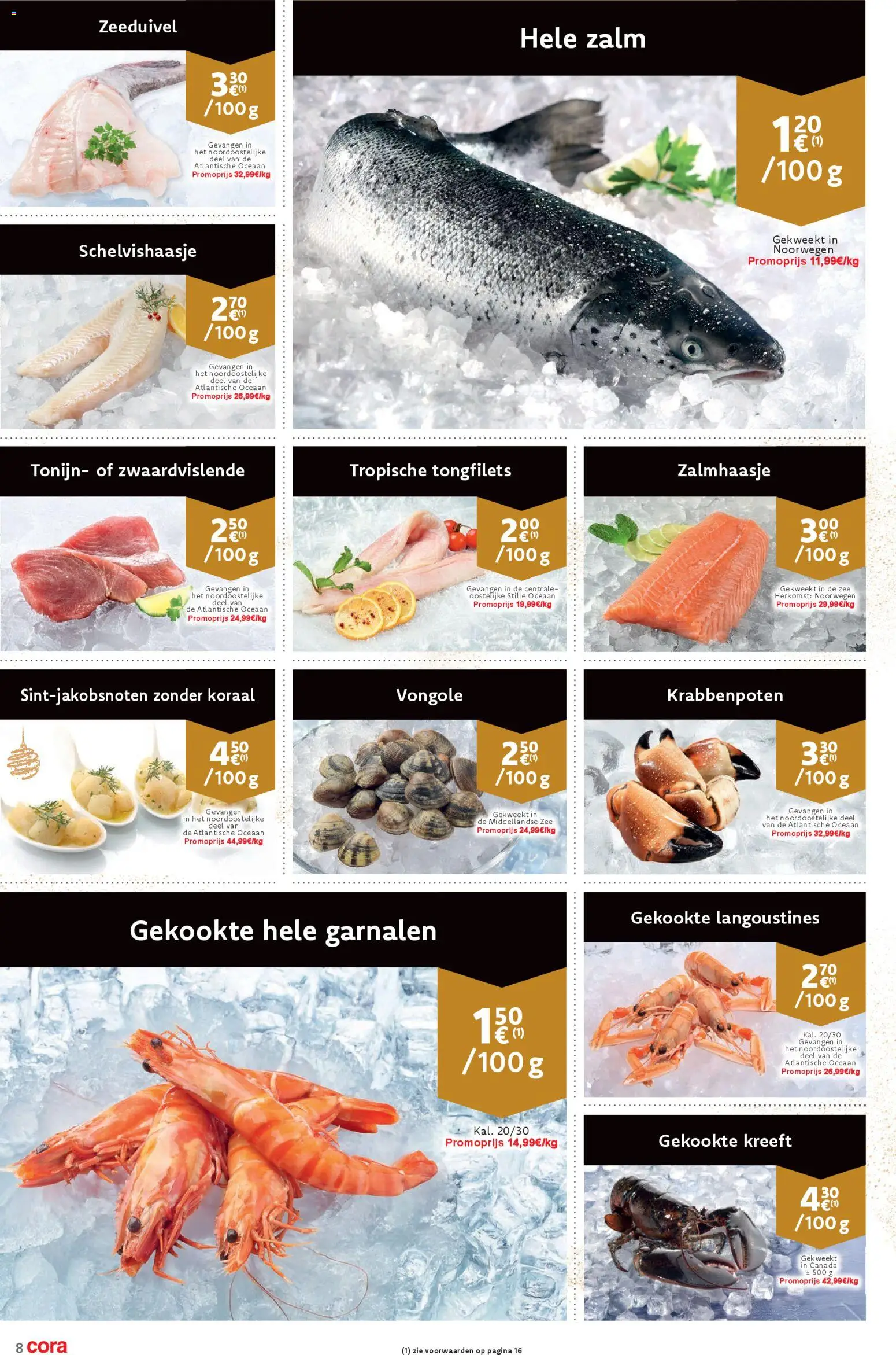 {H1} | Pagina: 8 | Producten: Zalm, Tonijn, Koraal, Kekszek