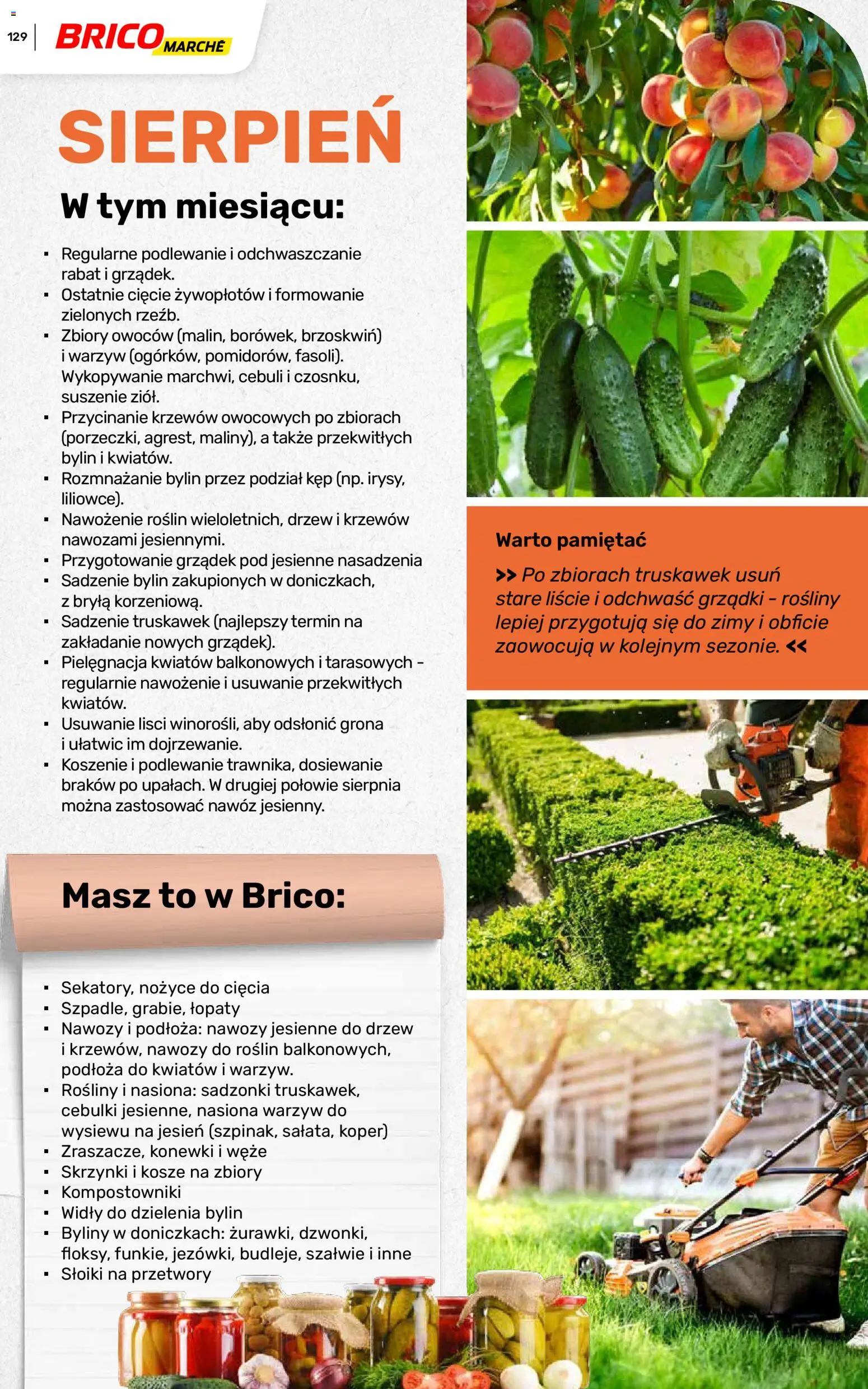 Brico Marché gazetka - Wiosna od 04.03.2026 | Strona: 129 | Produkty: Nasiona, Rosliny