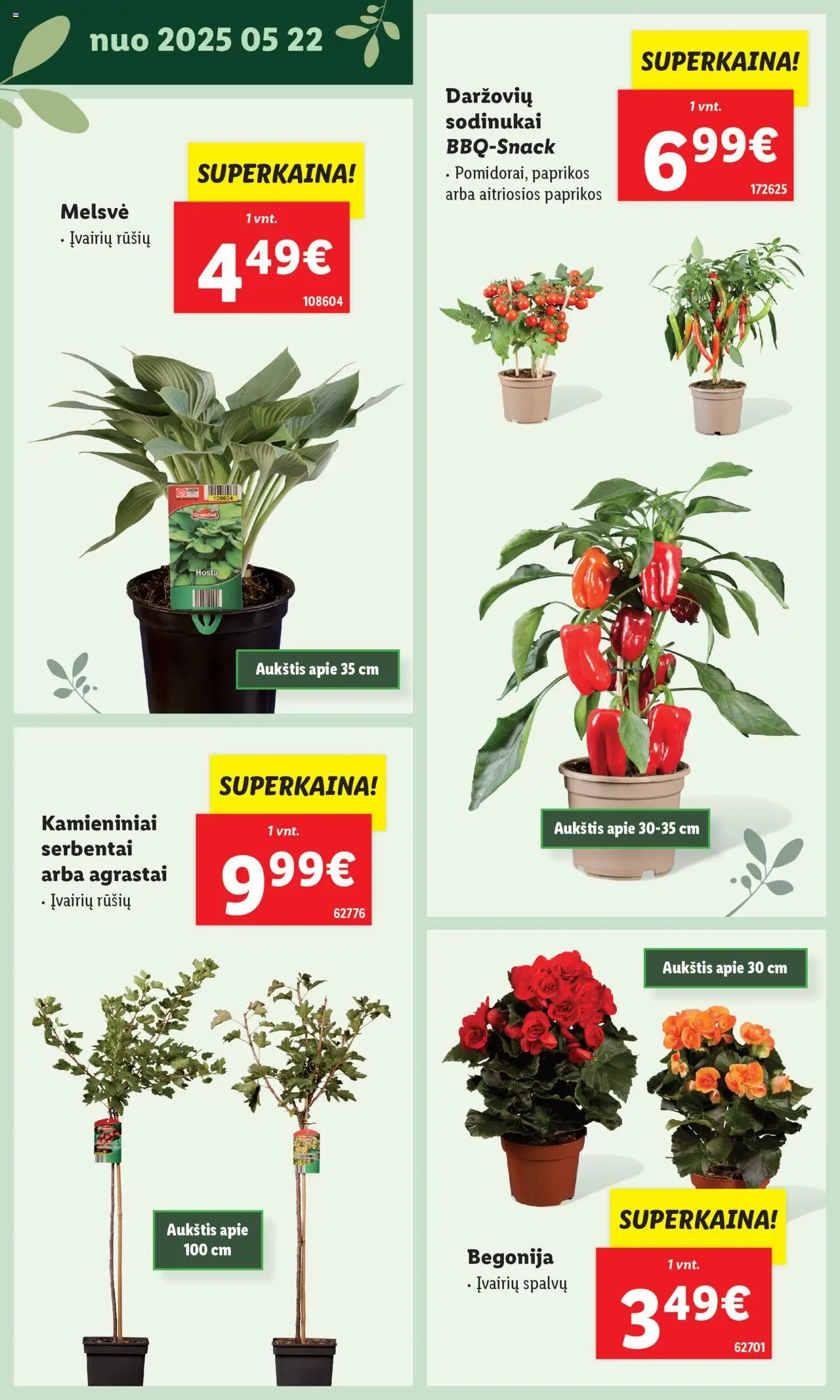 LIDL leidinys - Švenčiame sodą│galioja nuo 12.05.2025 | Puslapis: 22