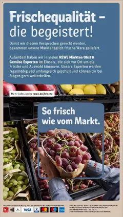 Obst & Gemüse, REWE Märkten Obst & Gemüse Experten im Einsatz, die sich vor Ort um die Frische und Auswahl kümmern. – gültig ab 15.09.2025 | Seite: 28 | Produkte: Gemüse, Obst