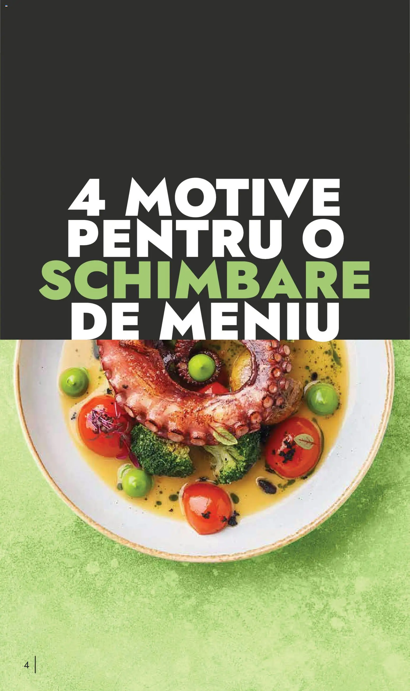 Noul catalog Metro – valabil de la 10.11.2025 | Pagină: 4