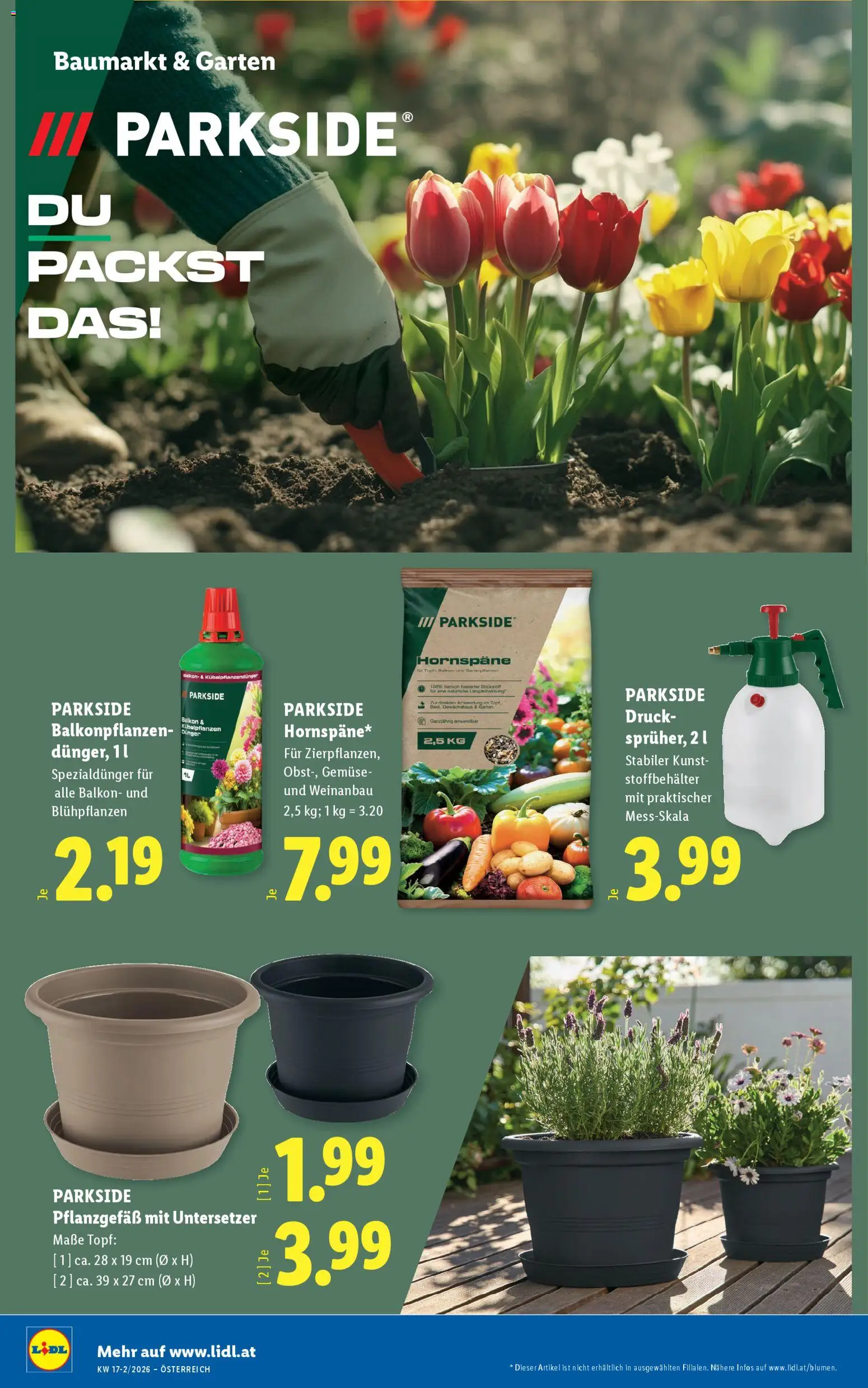 Lidl - Flugblatt gültig ab 23.04.2026 | Seite: 30 | Produkte: Gemüse