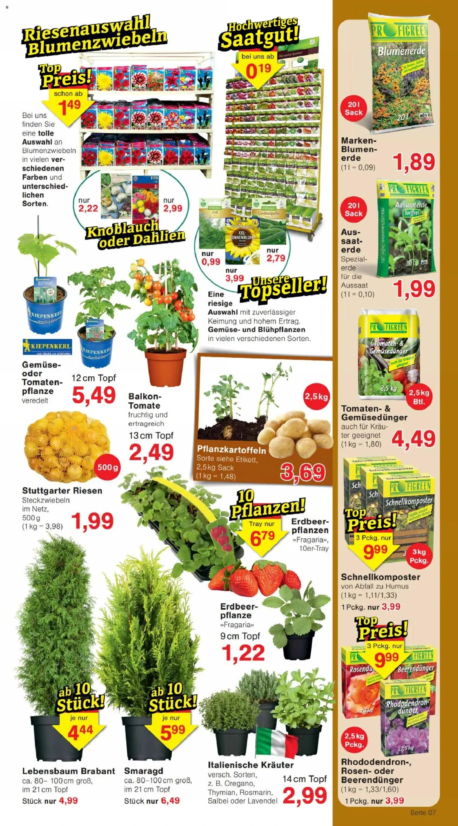 Jawoll Prospekt – gültig ab 30.03.2026 | Seite: 11 | Produkte: Blumenerde, Gemüse, Knoblauch, Lavendel