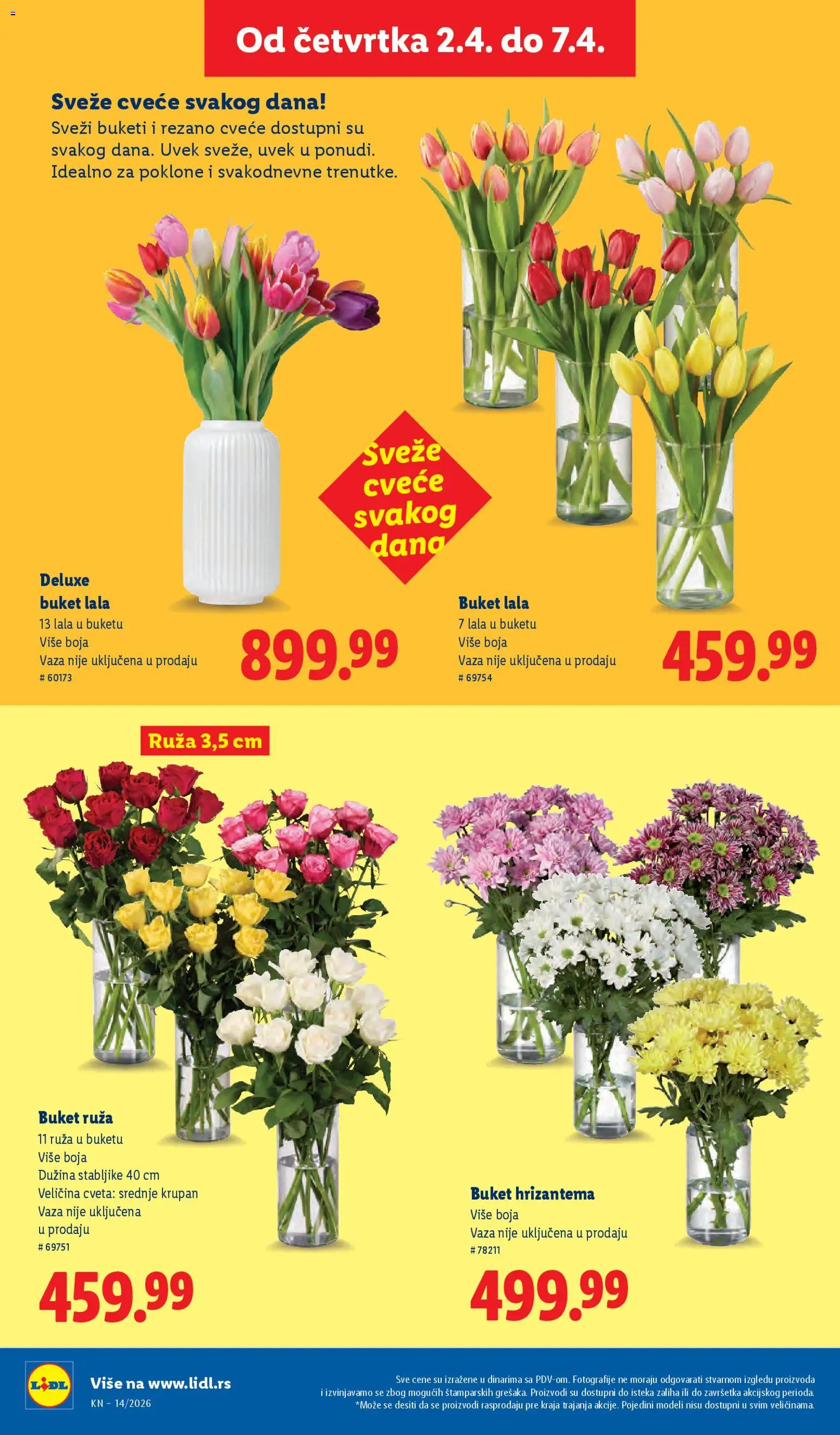 Lidl katalog - važi od 02.04.2026 | Strana: 64 | Proizvode: Vaza, Hrizantema, Cvece