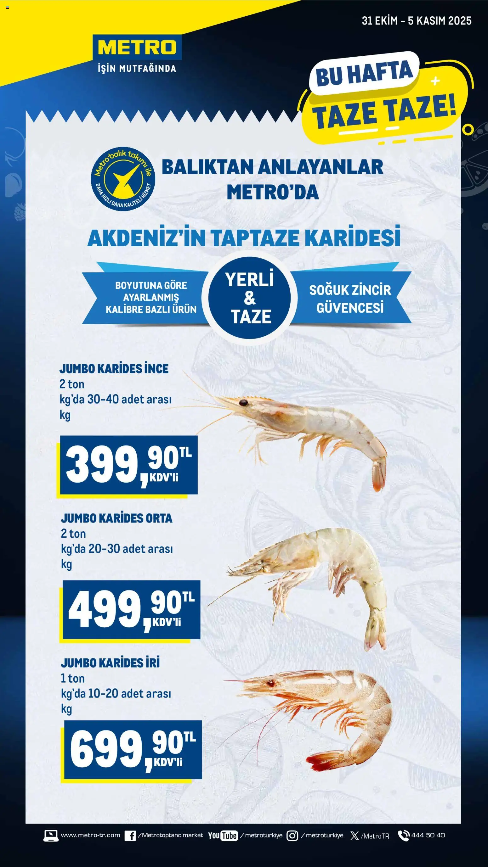 Metro Katalog - 31.10.2025 tarihinden itibaren geçerlidir | Sayfa: 1