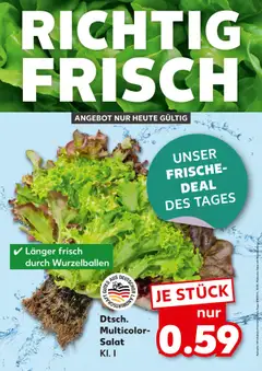 Kaufland DE - DE Folder Rostock - Voorbeeld van een folder van Kaufland DE, geldig van 15.08.2025