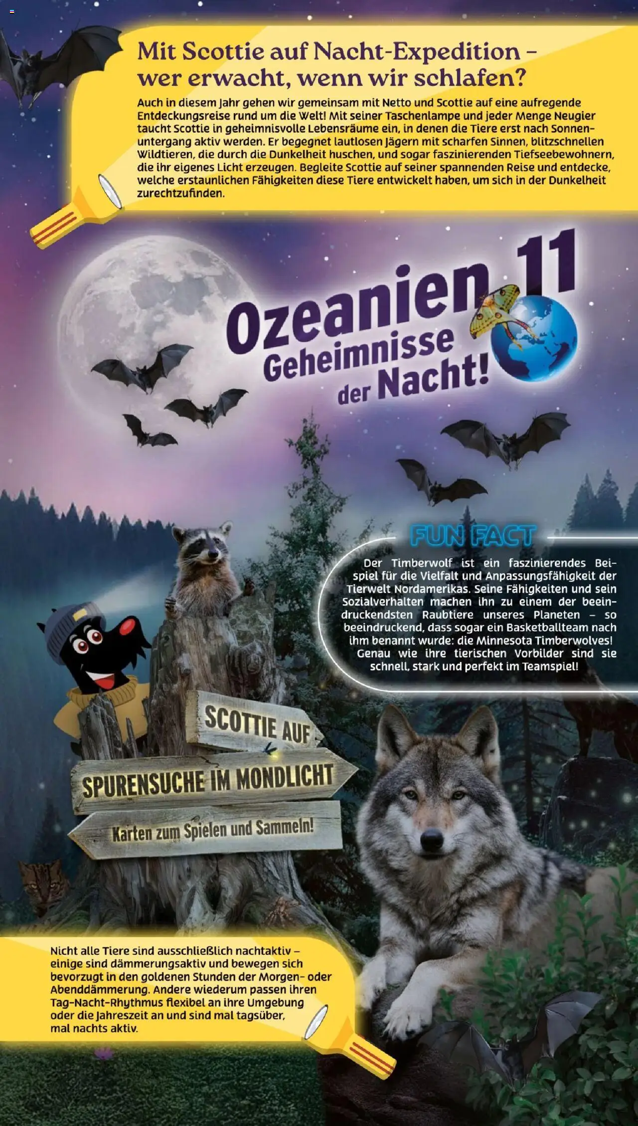 Netto Prospekt 	 - gültig ab dem 01.09.2025 | Seite: 50 | Produkte: Spiel
