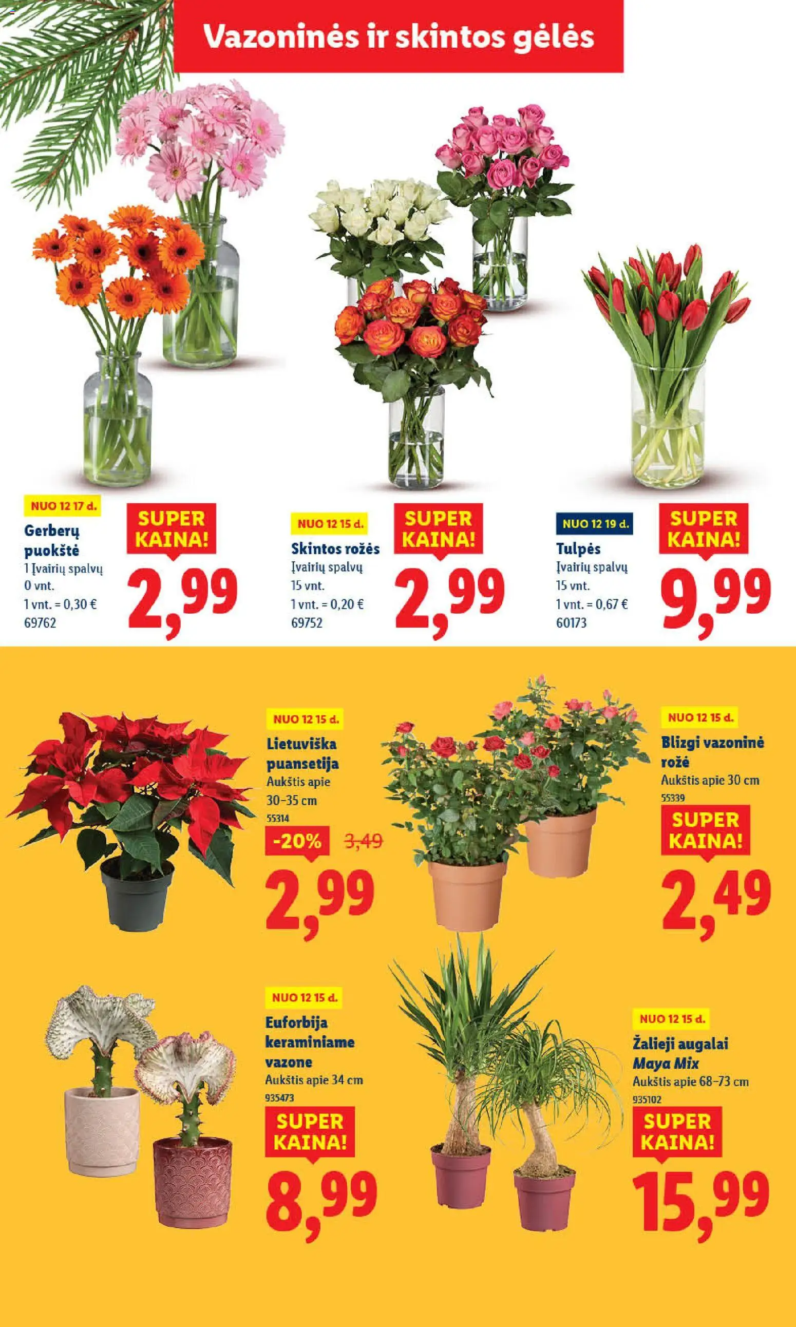 LIDL akcijos nuo 18.12.2025 | Puslapis: 56