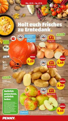 Penny - Berlin – gültig ab 22.09.2025 | Seite: 6 | Produkte: Äpfel, Zwiebeln, Kürbis