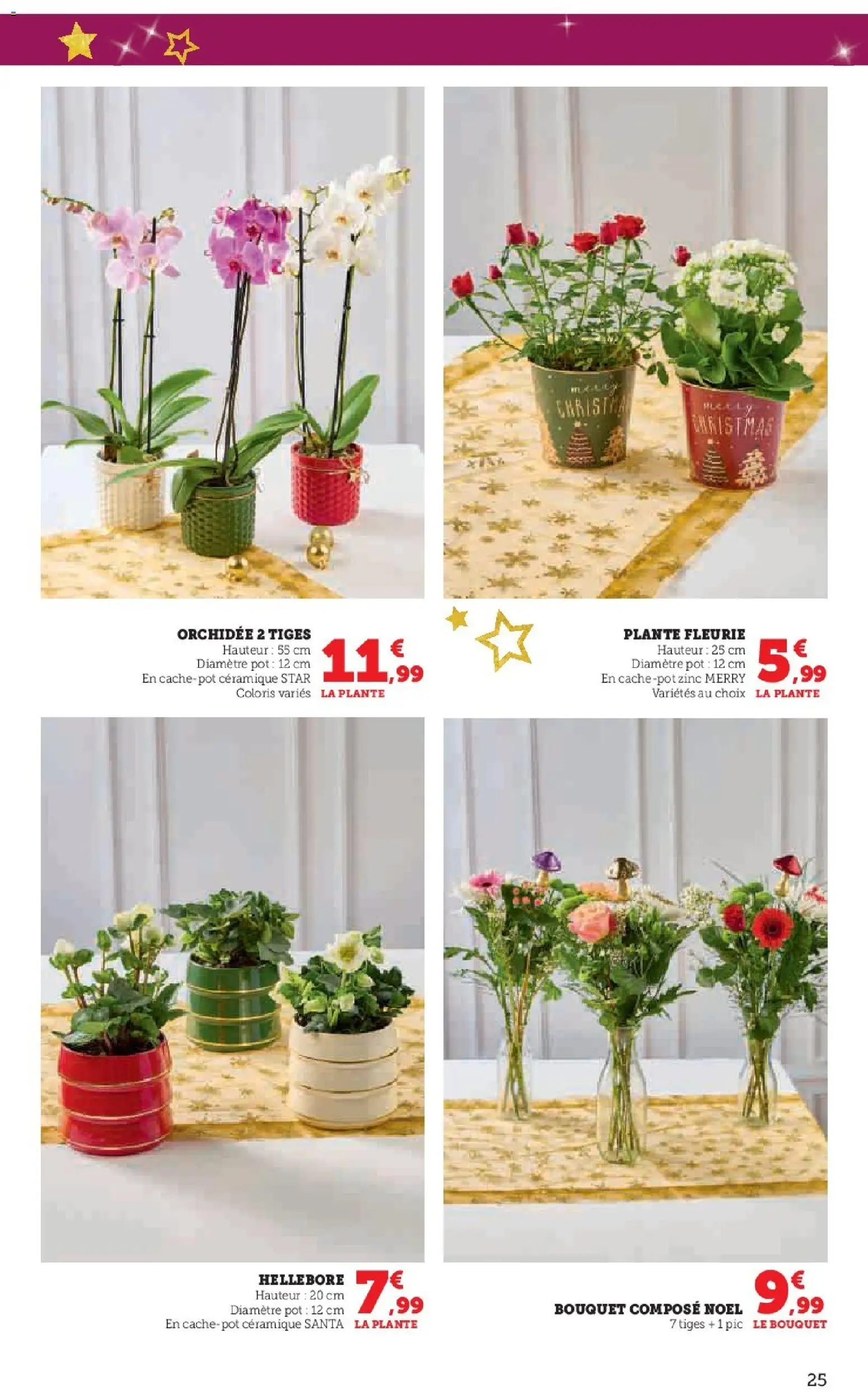 {H1} | Page: 25 | Produits: Orchidée