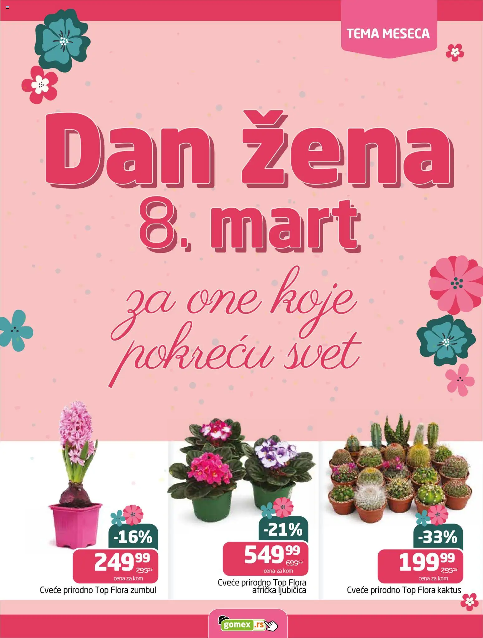 Gomex katalog - važi od 04.03.2026 | Strana: 15 | Proizvode: Cvece