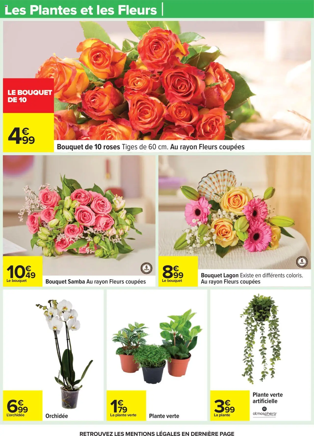  | Page: 17 | Produits: L'orchidée, Plantes, Plante verte, Orchidée