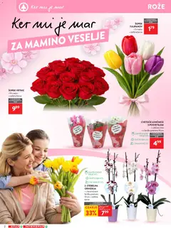 Spar katalog akcije – veljaven od 18.03.2026 | Stran: 2 | Izdelki: Lončnice, Šopek
