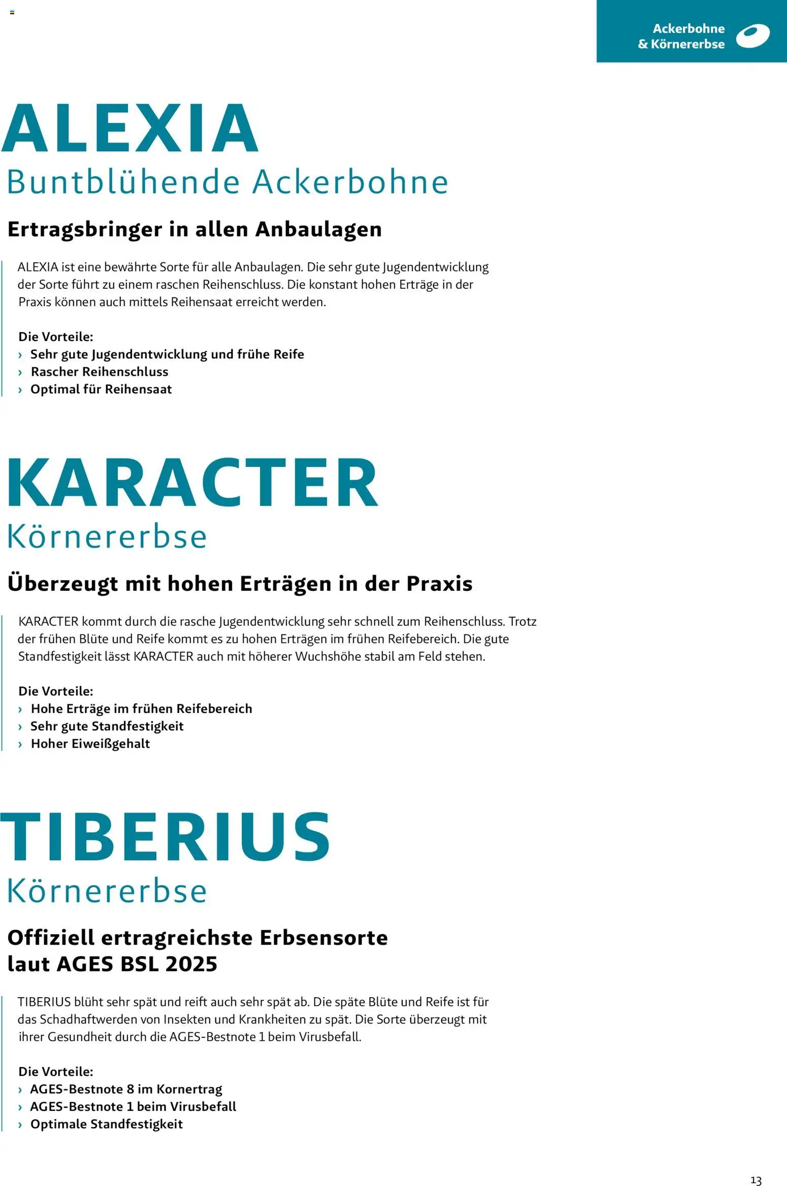 Lagerhaus - Frühjahr 2026 Östliches  Niederösterreich gültig ab 01.03.2026 | Seite: 13