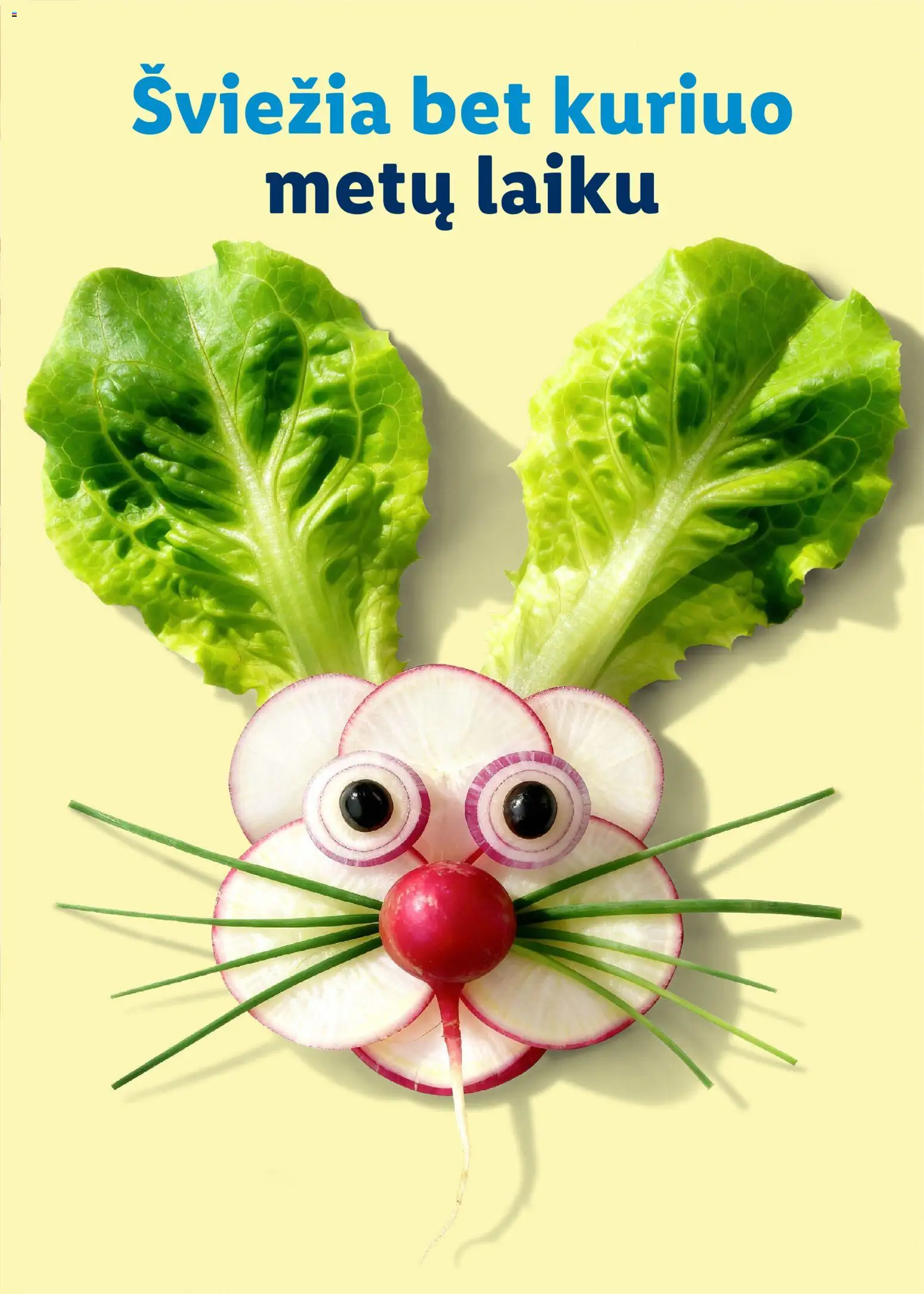 LIDL akcijos nuo 01.03.2026 | Puslapis: 73