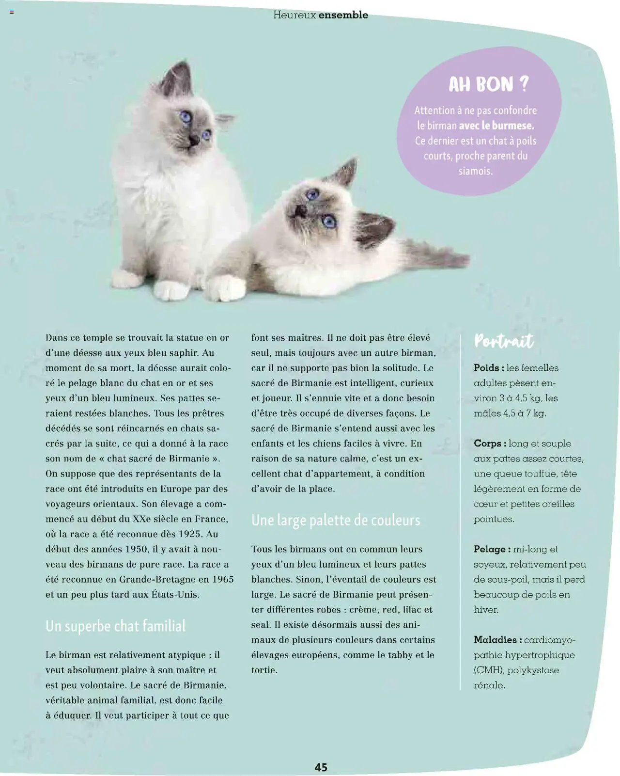 | Page: 45 | Produits: Poids, Mais