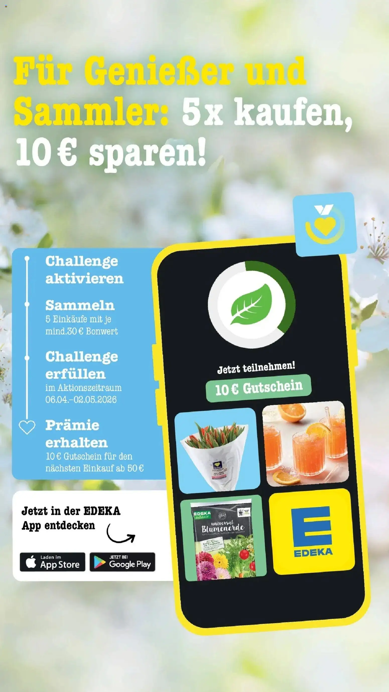 E center Prospekt Mainz-Weisenau	 – gültig ab 12.04.2026 | Seite: 43 | Produkte: Blumenerde