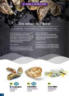 Vista previa Makro Especial Catering Prat válido desde el 16.03.2026 | Página: 22 | Productos: Bandeja, Caja