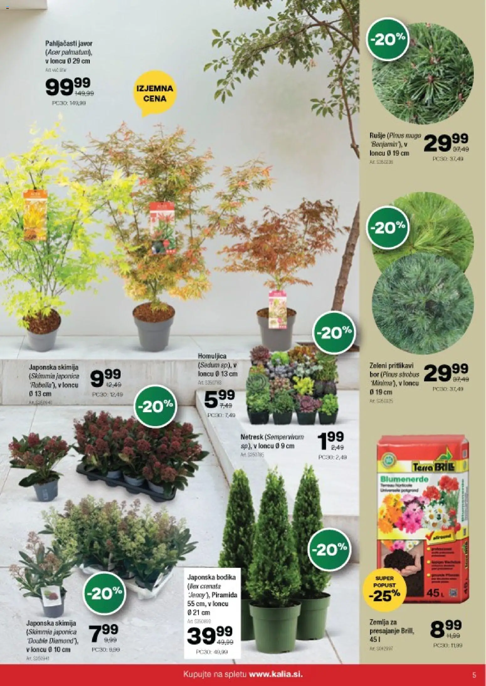 Novi Kalia katalog ponudbe – veljaven od 20.10.2025 | Stran: 5 | Izdelki: Žemlja