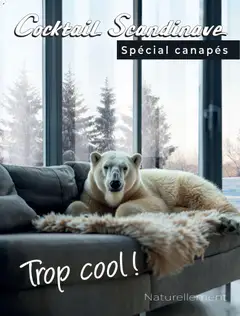 Cocktail Scandinave - Prévisualisation de Cocktail Scandinave catalogue valide à partir de 18.02.2026