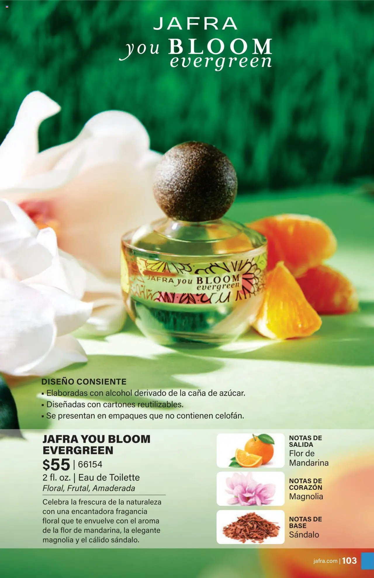 JAFRA folleto │ válido desde el 01.08.2025 | Página: 103 | Productos: Fragancia, Eau de toilette, Té