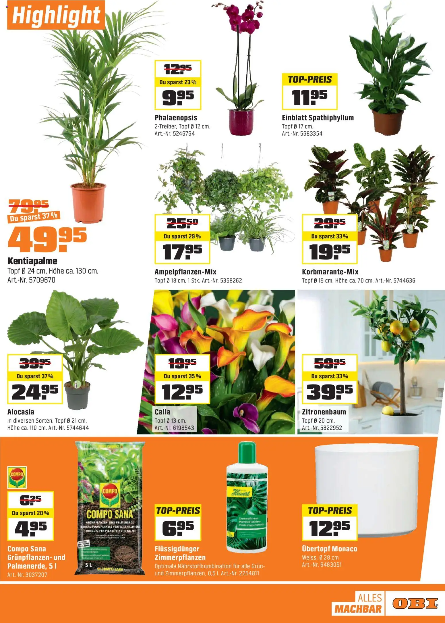 OBI - BIBERSTARKE Angebote bei OBI. – gültig ab 01.02.2026 | Seite: 3