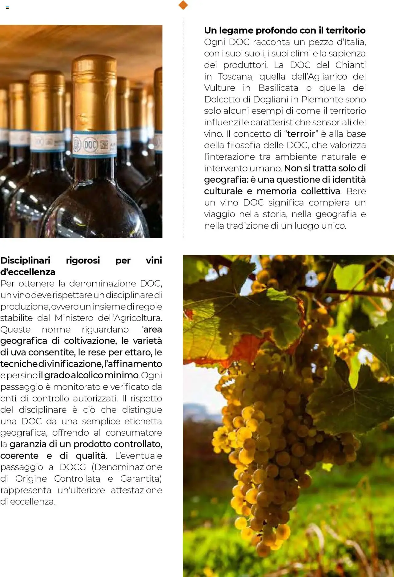 Volantino Gulliver del 01.09.2025 | Pagina: 21 | Prodotti: Vino, Uva
