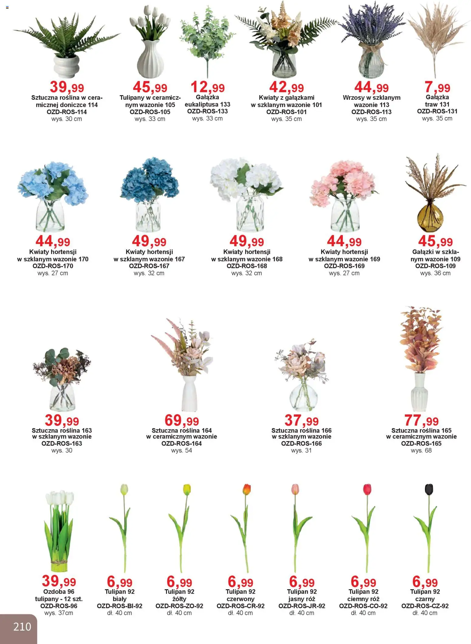 Bodzio Katalog od 01.01.2026 | Strona: 210 | Produkty: Róż, Tulipany, Kwiaty