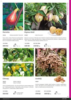 Náhled letáku Starkl katalog Jaro 2026 od 25.02.2026 | Strana: 41 | Produkty: Ovoce, Melouny, Arašídy, Citron