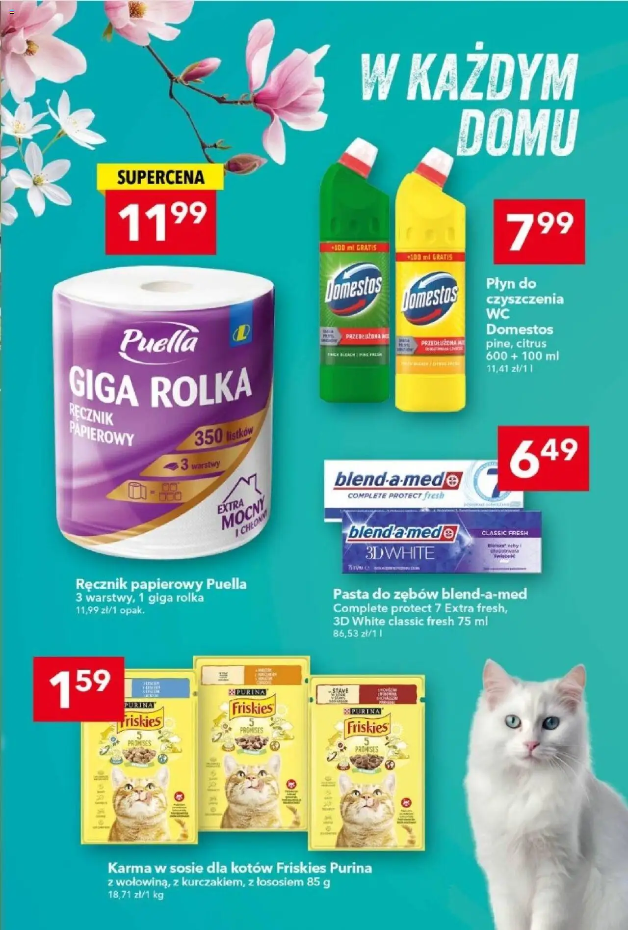 Lewiatan gazetka od 23.10.2025 | Strona: 13 | Produkty: Domestos, Pasta do zębów, Ręcznik papierowy