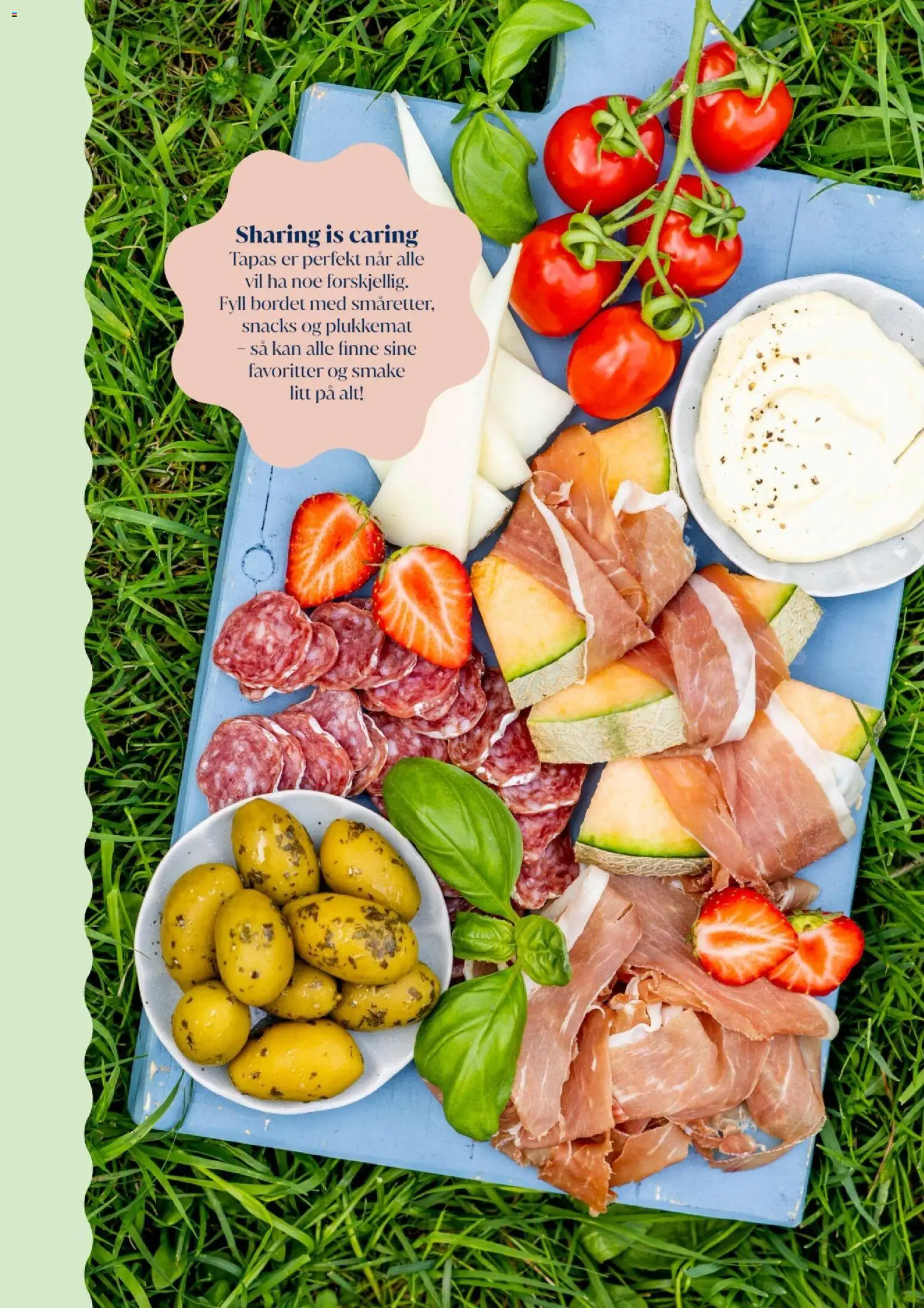 {H1} | Side: 25 | Produkter: Snacks, Toastbrød, Датчик руху