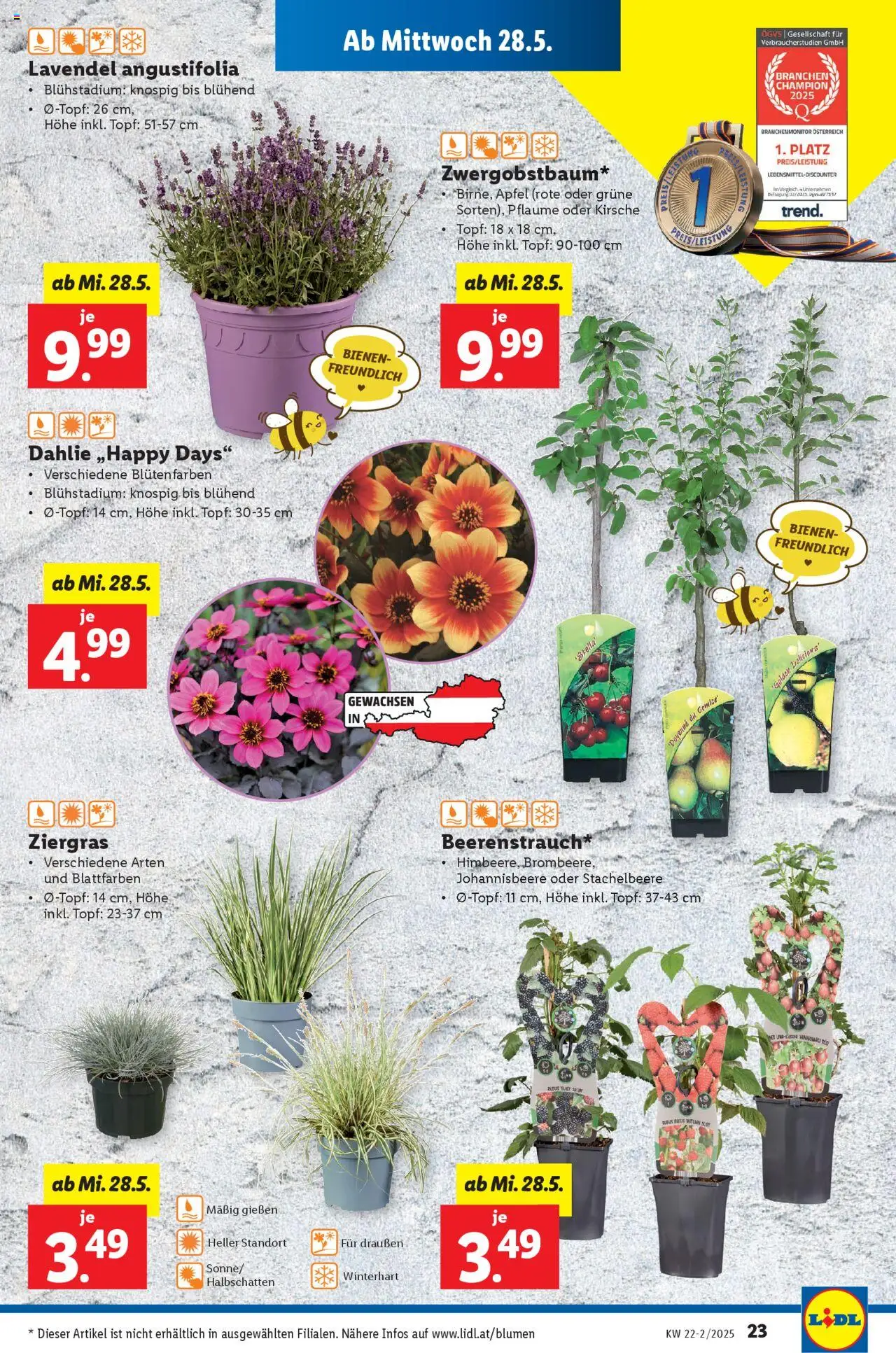 Lidl - Flugblatt gültig ab 28.05.2025 | Seite: 27 | Produkte: Äpfel