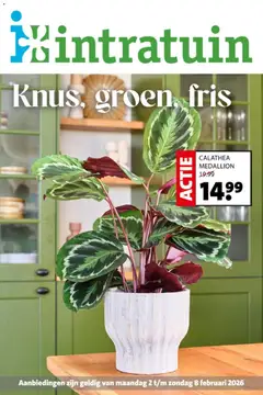 Intratuin - Folder - Voorbeeld van een folder van Intratuin, geldig van 02.02.2026