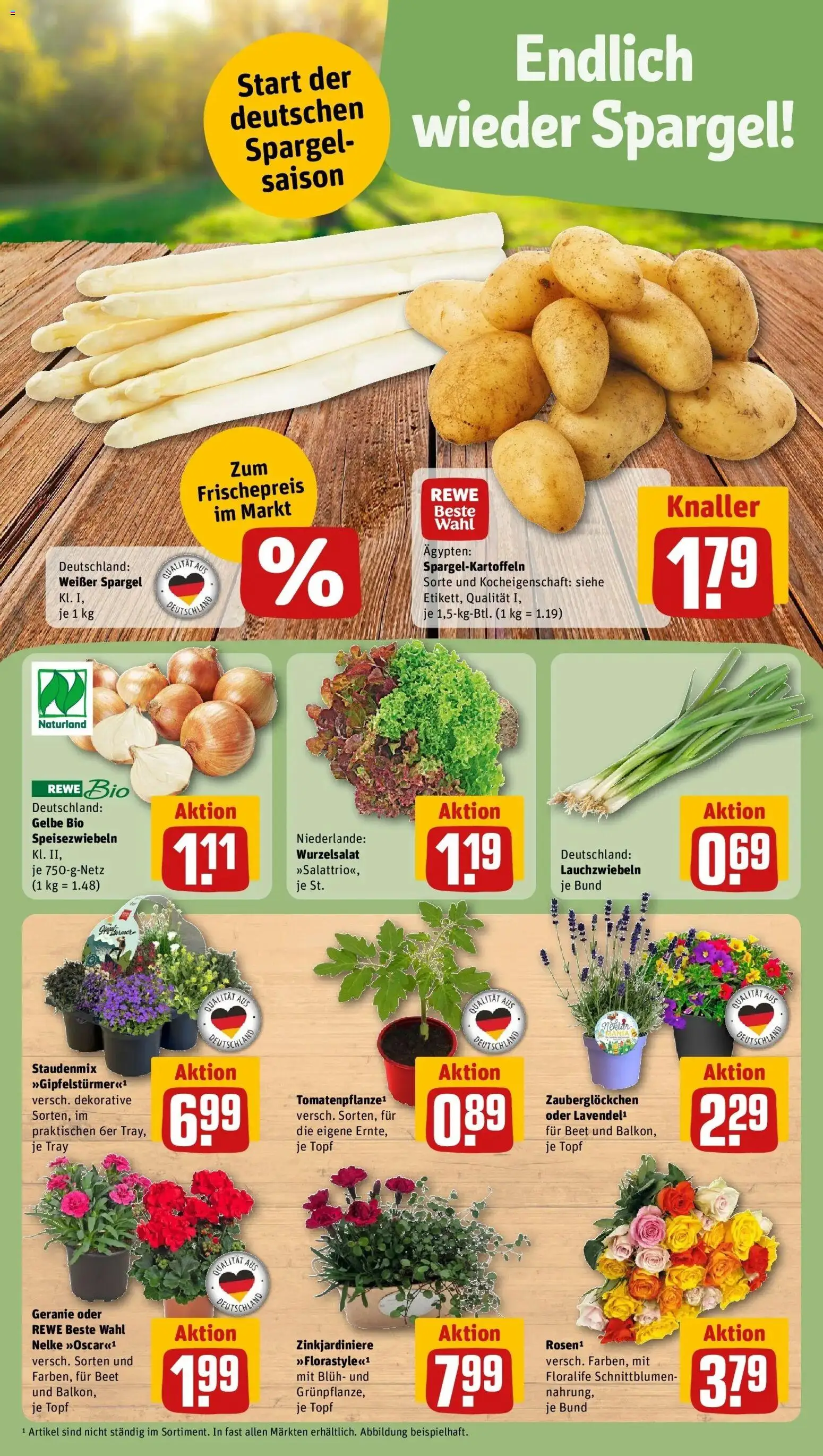 Rewe Prospekt Hanau	 – gültig ab 12.04.2026 | Seite: 5 | Produkte: Spargel, Lavendel