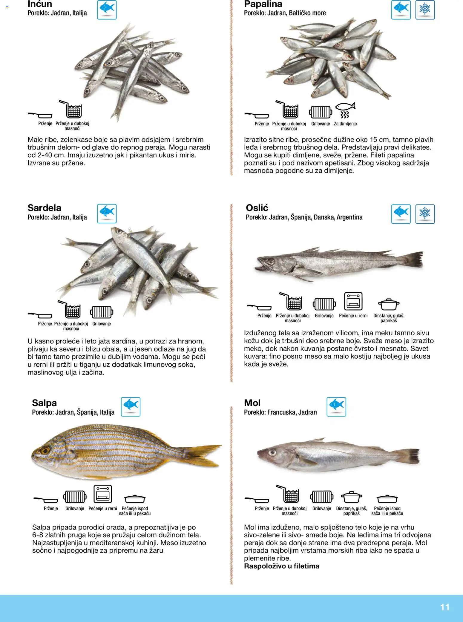 Metro katalog - važi od 10.12.2025 | Strana: 11 | Proizvode: Oslić, Riba