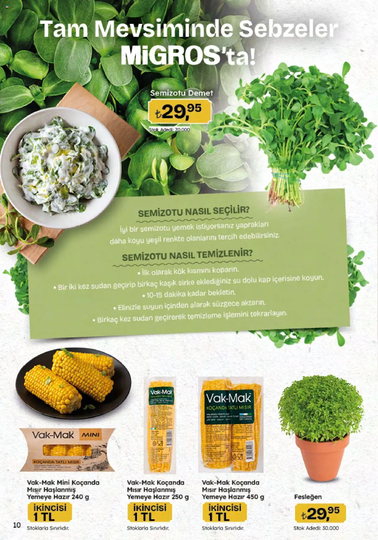 Migros Katalog - Migroskop - 22.05.2025 tarihinden itibaren geçerlidir | Sayfa: 10 | Ürünler: Fesleğen, Sirke, Su, Sebzeler