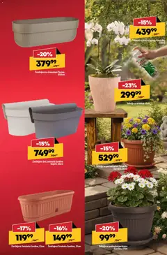 Saksija za orhideje Viola, Saksija za orhideje Viola - pregled Mega Maxi kataloga - važi od 26.02.2026 | Strana: 13 | Proizvode: Saksija, Balzam