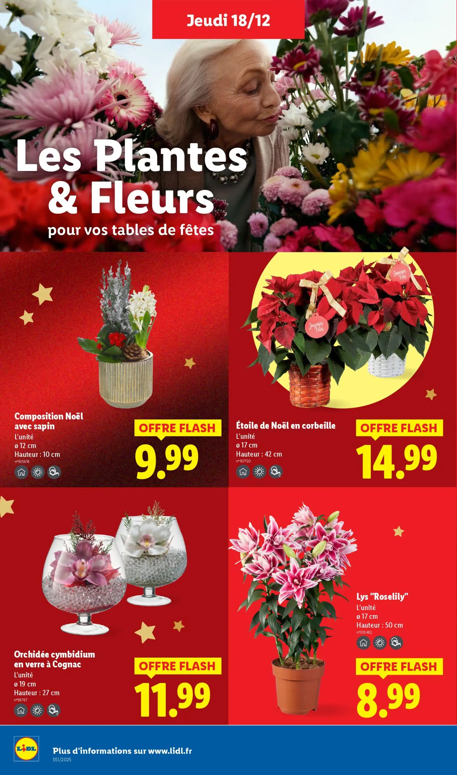 {H1} | Page: 36 | Produits: Plantes, Cognac, Orchidée