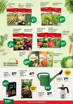 Kalia katalog akcije – veljaven od 23.03.2026 | Stran: 4 | Izdelki: Paprika, Korencek, Solata, Pesa